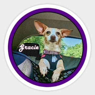 Gracie the Chihuahua Sticker